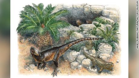 El dinosaurio Dinky era el más joven de su tipo cuando deambulaba por Gales hace 200 millones de años.