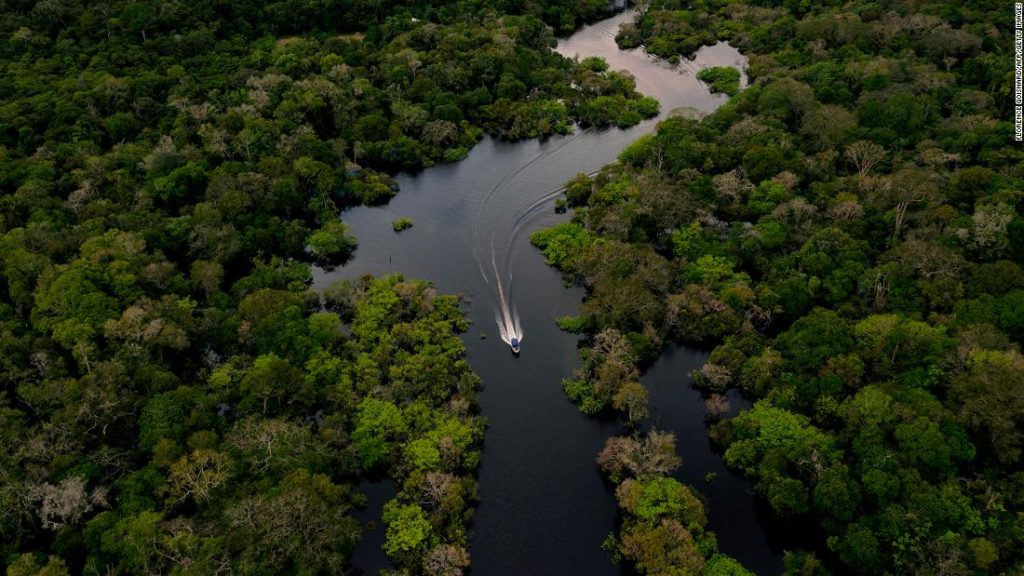 Un nuevo estudio encuentra que la selva amazónica se está acercando al punto de inflexión para cambiar a una sabana