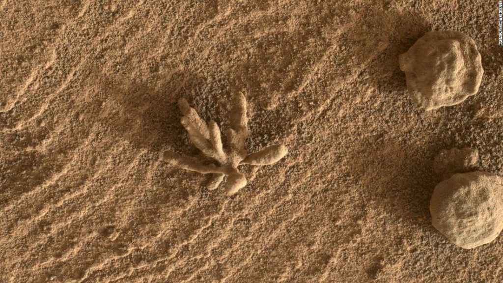 Una pequeña formación de "flor" detectada por el rover Curiosity en Marte