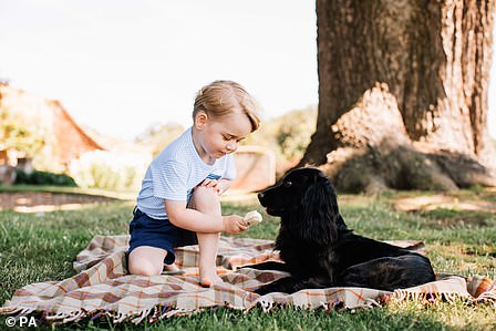 La familia Cambridge quedó devastada por la muerte de su perro Lobo en noviembre de 2021, fotografiada con el Príncipe George en 2016