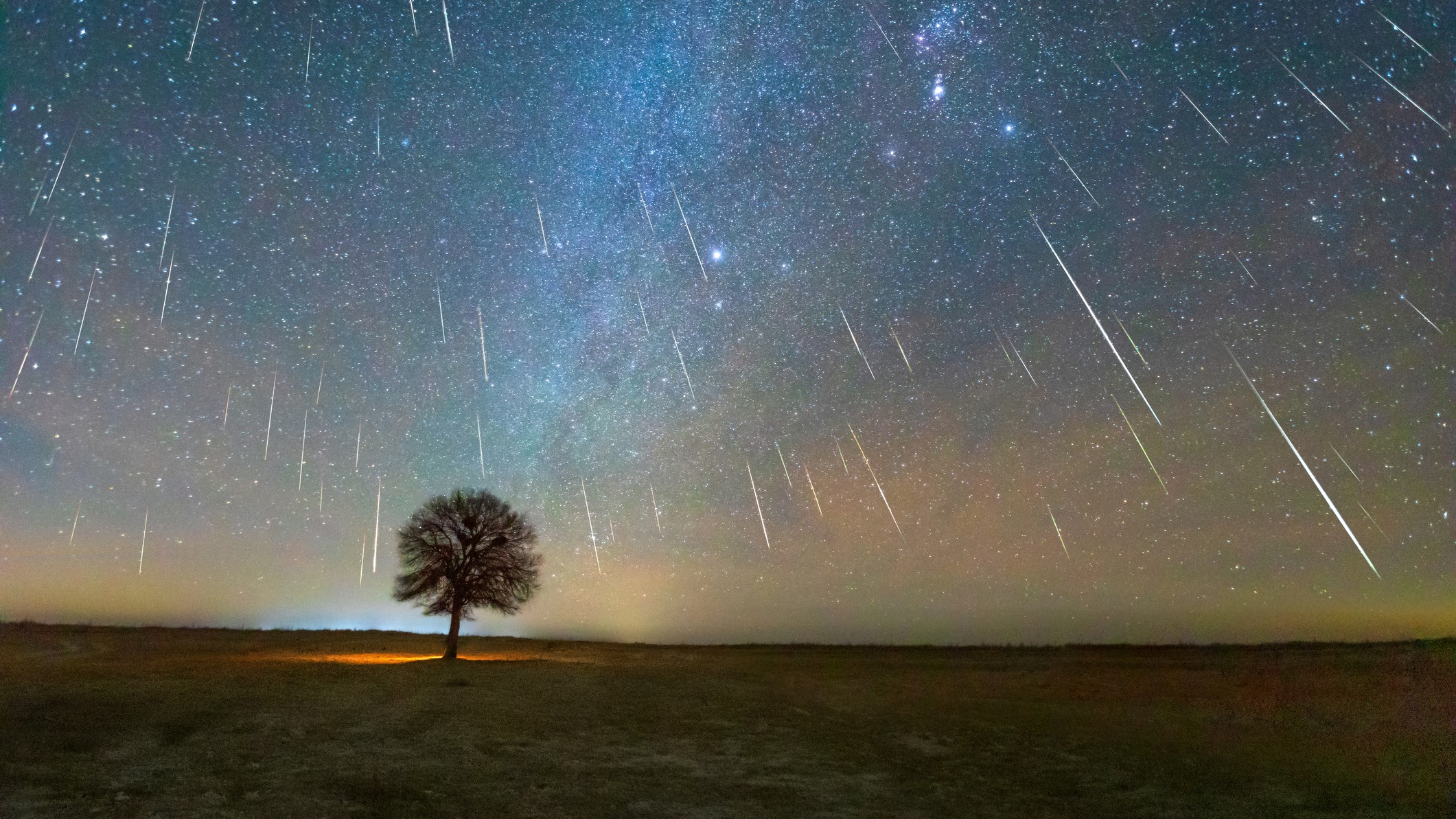 Meteoro gemínido con silueta de árbol en primer plano.