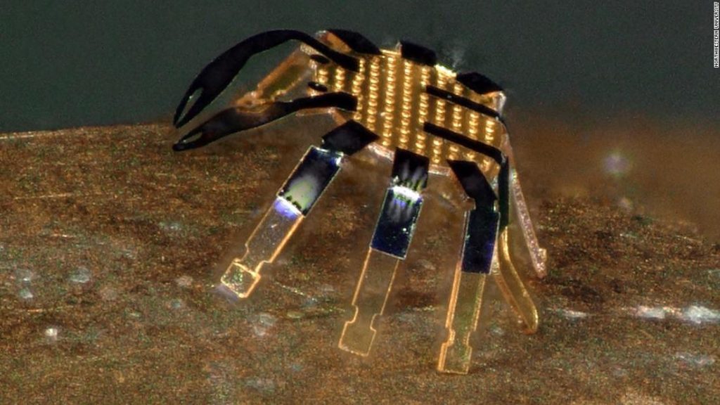 Los pequeños cangrejos robóticos son los robots andantes a control remoto más pequeños del mundo