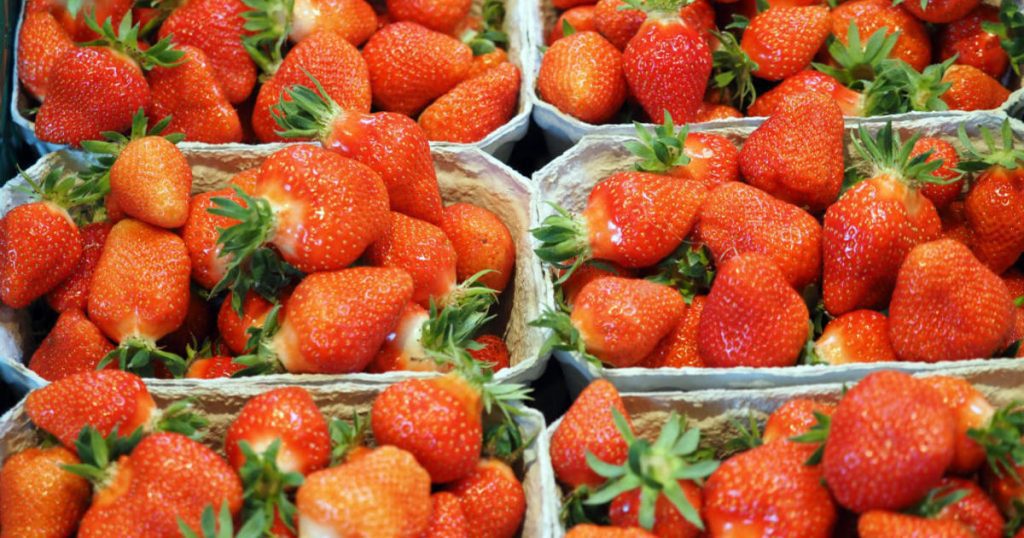 La Administración de Drogas y Alimentos de EE. UU. dice que las fresas probablemente causaron el brote de hepatitis A