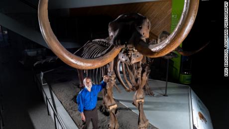 El paleontólogo de la Universidad de Michigan, Daniel Fisher, posa con un esqueleto compuesto de un mastodonte de Buesching.