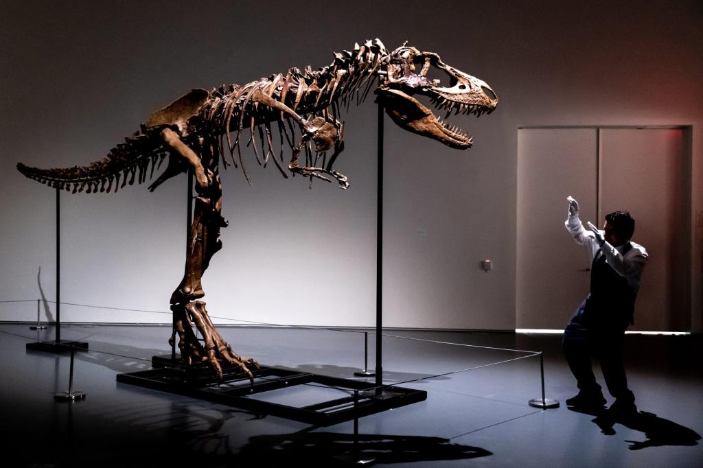 Subastarán esqueleto de un gorgosaurio de 76 millones de años