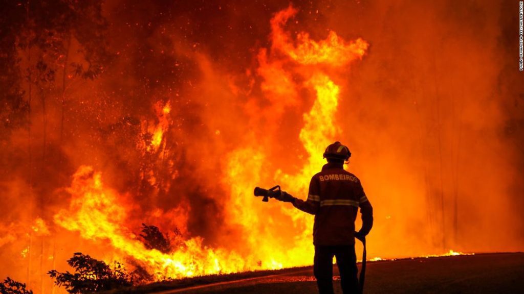 Los incendios forestales causan estragos en Francia y España en medio de una ola de calor, mientras que el Reino Unido se enfrenta al día más caluroso de su historia