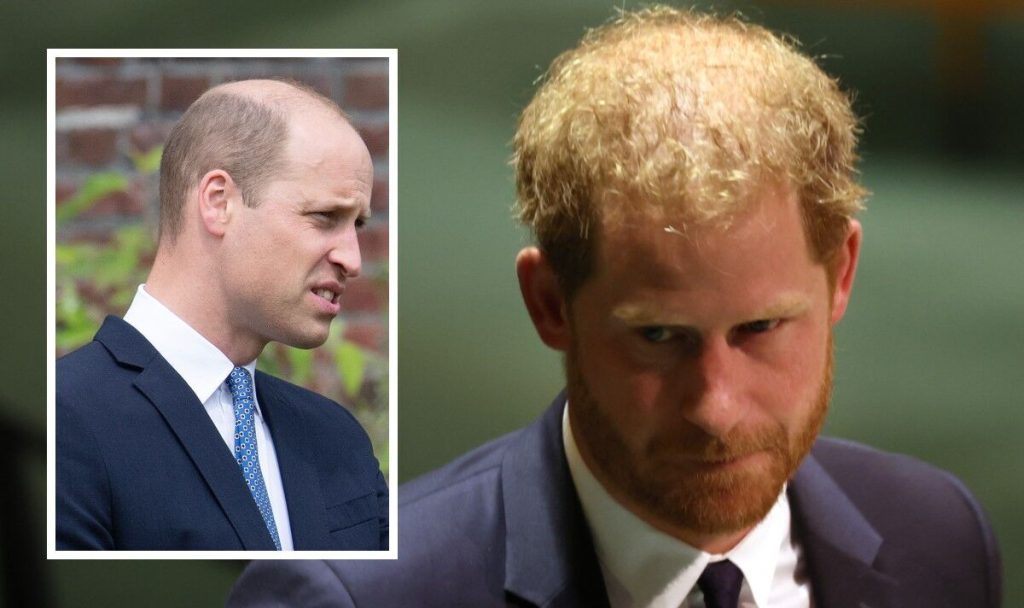 El príncipe William contempla 'qué hacer con el príncipe Harry' mientras el duque se burla del gobierno real de la reina |  real |  Noticias