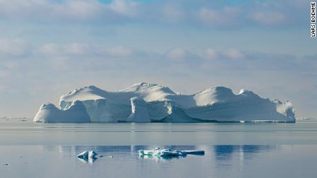 El majestuoso mundo submarino de la Antártida intenta adaptarse a un planeta más cálido