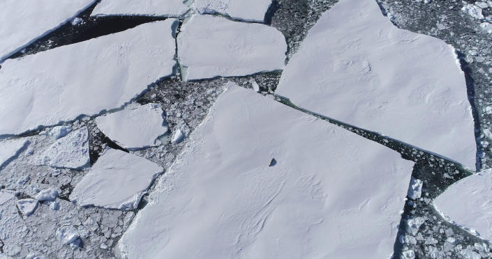 Una foca solitaria en un témpano de hielo frente a la plataforma de hielo oriental en Thwaites, Antártida en 2019 (Imágenes de portada a través de Zuma Press)