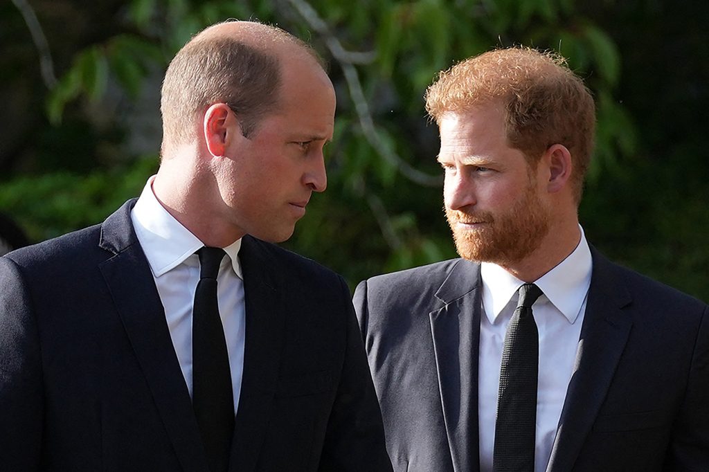 El príncipe William y el príncipe Harry parecen estar mirándose.