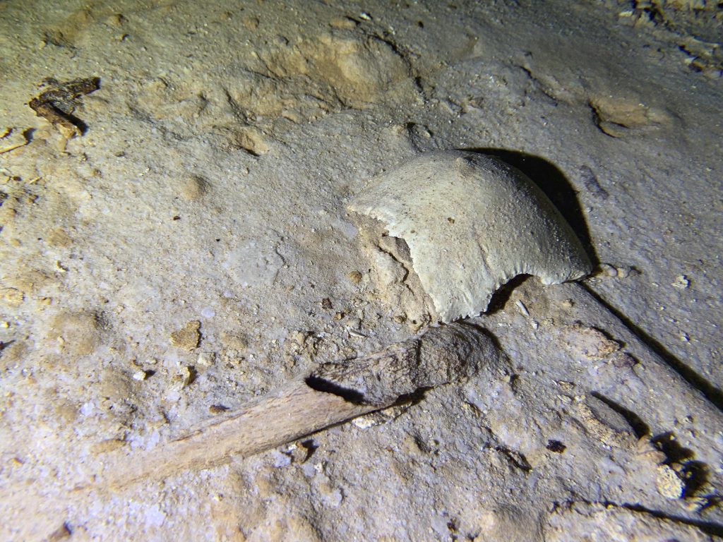 Hallan esqueleto antiguo en cueva de México amenazado por tren