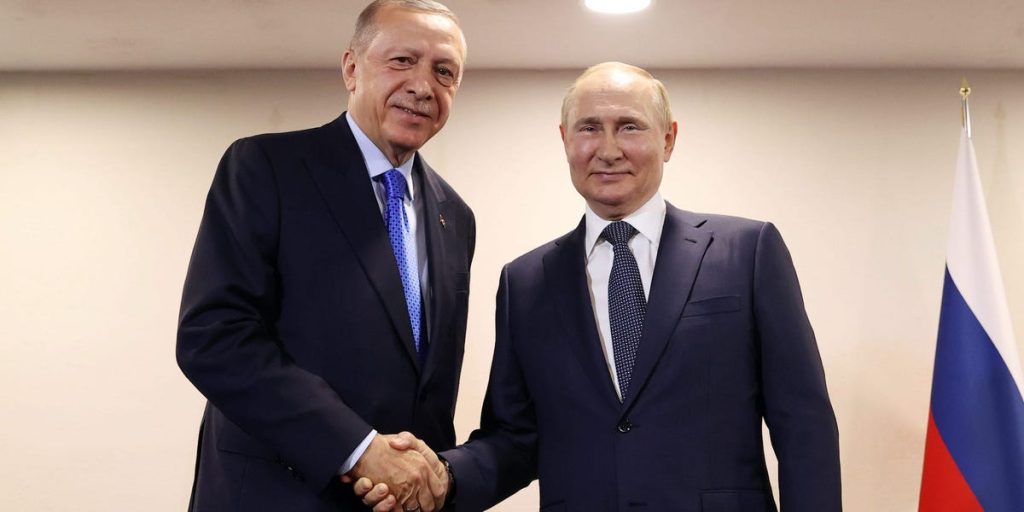 Erdogan dice que trabajará con Putin para desarrollar el centro de gas de Turquía
