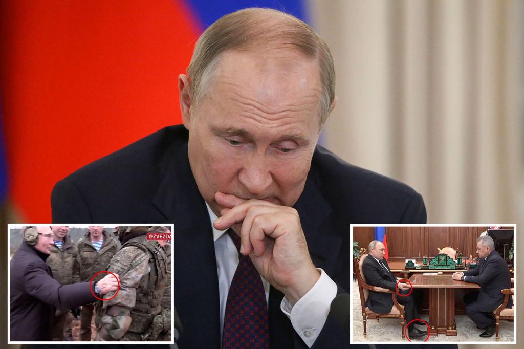 Putin lucha contra el cáncer de páncreas y la enfermedad de Parkinson: informe