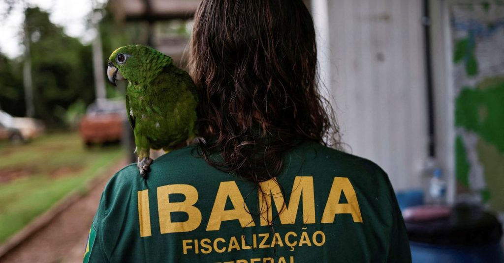 EXCLUSIVA: Brasil lanzó sus primeras incursiones contra la deforestación como parte de la apuesta de Lula para proteger la Amazonía