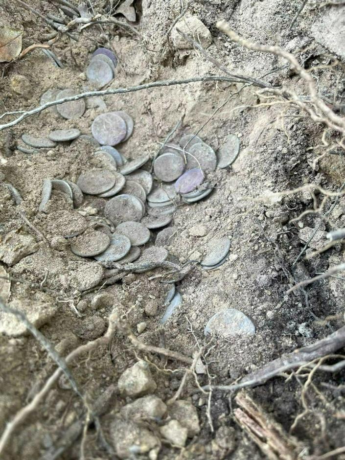 Algunas monedas están parcialmente enterradas en la tierra.  Imagen cortesía del Superintendente de Monumentos, Bellas Artes y Paisajes de las Provincias de Pisa y Livorno