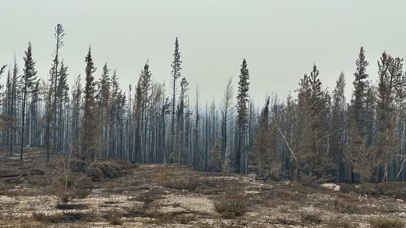 Yellowknife, Territorios del Noroeste: Miles se apresuran a evacuar la capital territorial de Canadá mientras más de 200 áreas de incendios forestales son 'sin precedentes'