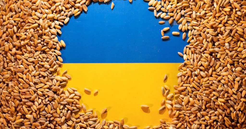 Ucrania puede usar una nueva ruta en el Mar Negro para los productores de envíos de granos