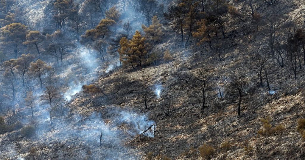 Un incendio forestal en las afueras de Atenas mientras cientos de incendios asolan Grecia