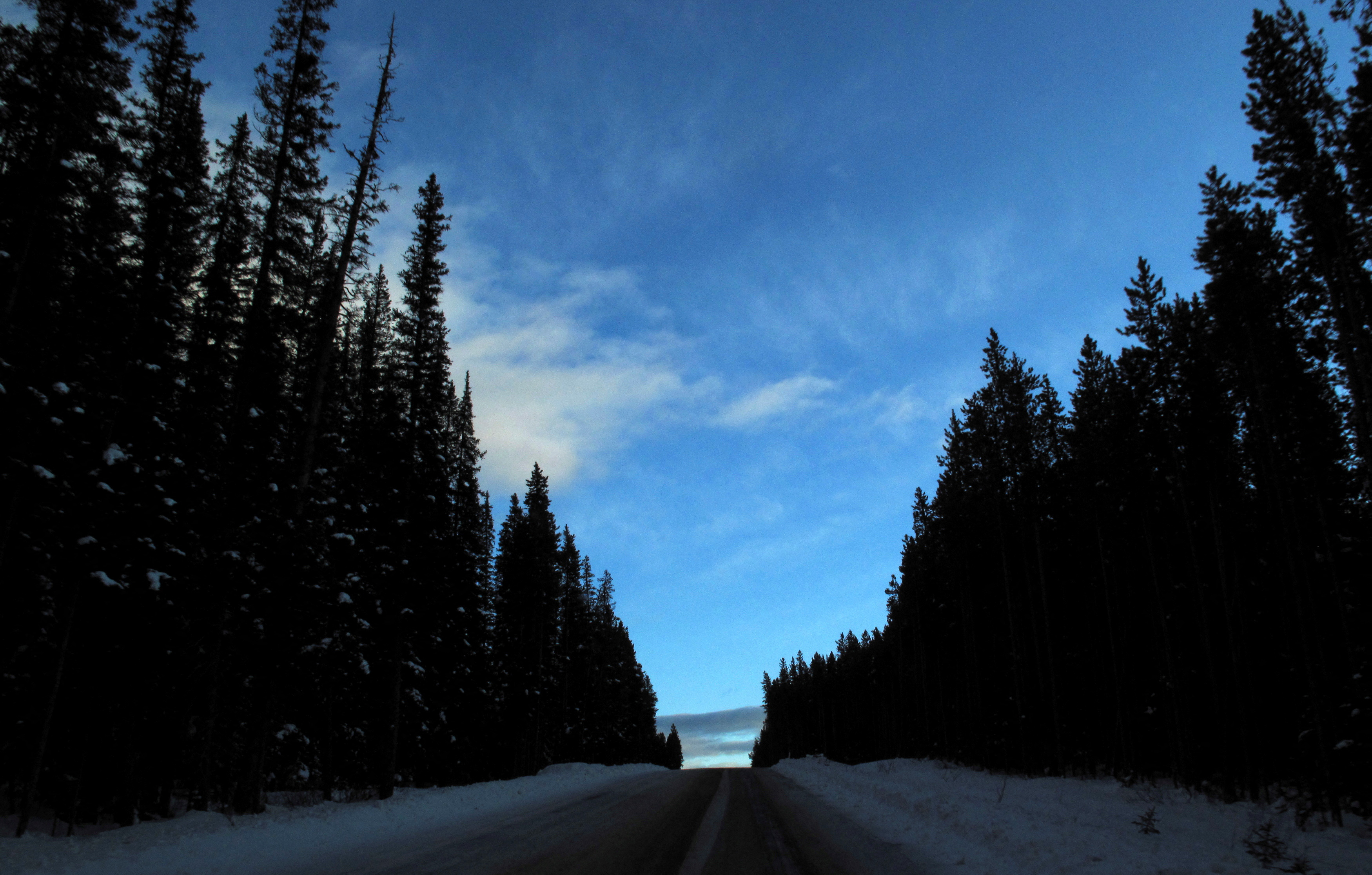 Un camino cubierto de nieve sube una colina al atardecer en el Parque Nacional Banff, cerca de Lake Louise, Alberta
