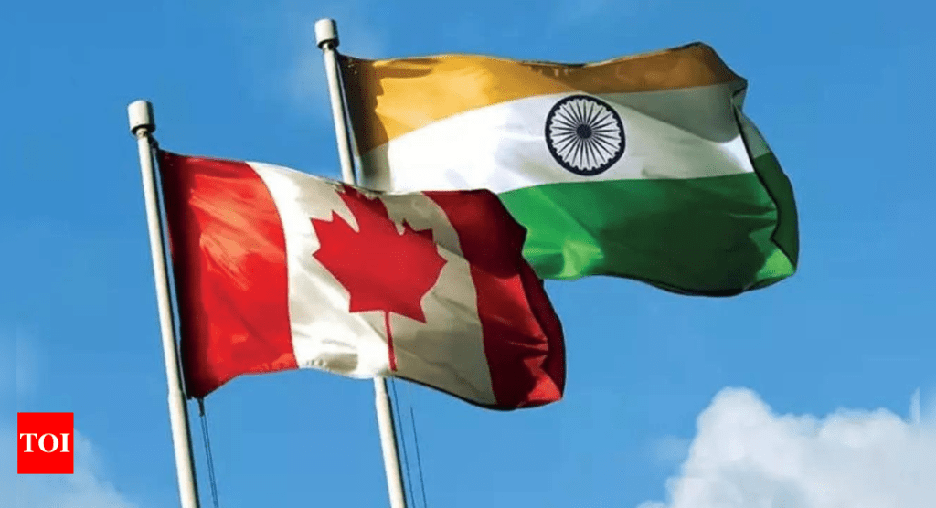 Investigación canadiense para analizar el papel de la India en la influencia en las elecciones |  Noticias de la India