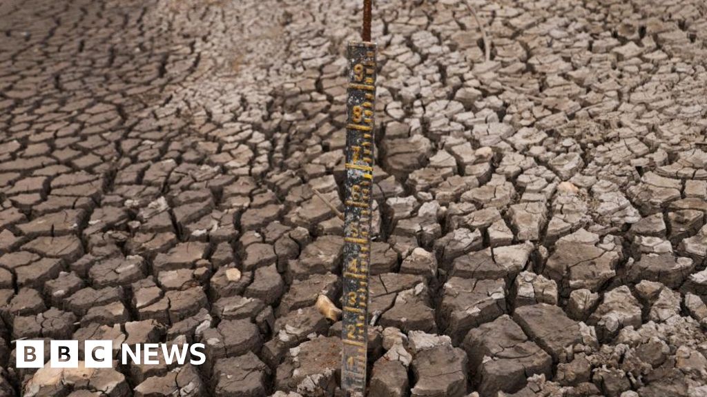 Sequía en Colombia: Lluvia de cuatro minutos - Las aguas secas de Bogotá