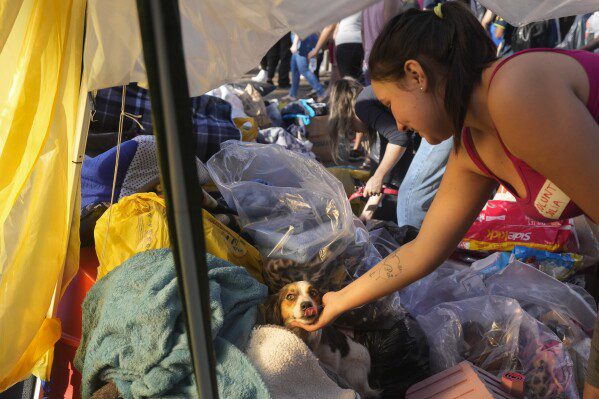 Un perro evacuado de una zona inundada por fuertes lluvias es acariciado por un voluntario en un refugio en Canoas, estado de Rio Grande do Sul, Brasil, el jueves 9 de mayo de 2024. (Foto AP/Andre Penner)